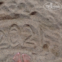 фото из отзыва ID 2249529