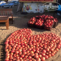 фото из отзыва ID 2249558