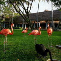 фото из отзыва ID 2249505