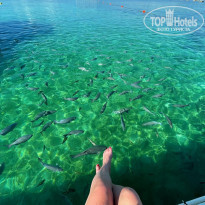 фото из отзыва ID 2249581