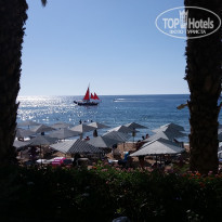 фото из отзыва ID 2249598