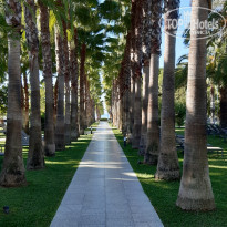 фото из отзыва ID 2249634