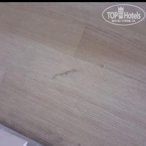 фото из отзыва ID 2249633