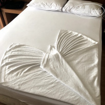 фото из отзыва ID 2249662