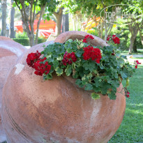 фото из отзыва ID 2249634