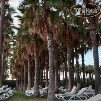 фото из отзыва ID 2249634