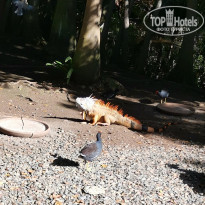 фото из отзыва ID 2249758