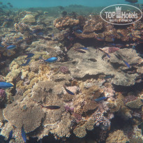 фото из отзыва ID 2249856