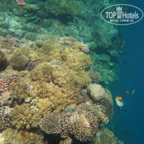 фото из отзыва ID 2249856