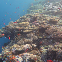 фото из отзыва ID 2249856