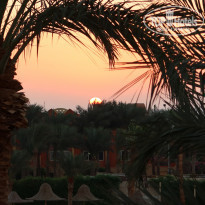 фото из отзыва ID 2249856