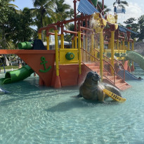 фото из отзыва ID 2249932