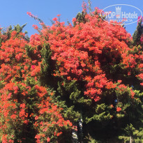 фото из отзыва ID 2249789