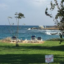 фото из отзыва ID 2249789