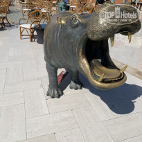 фото из отзыва ID 2243578