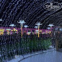 фото из отзыва ID 2243578