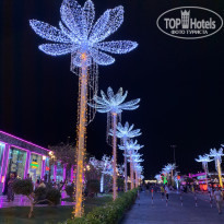 фото из отзыва ID 2243578