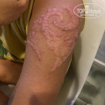 фото из отзыва ID 2248077