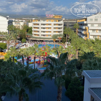 фото из отзыва ID 2240607