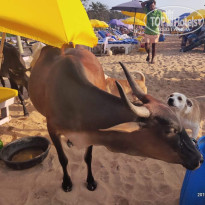 фото из отзыва ID 2246762