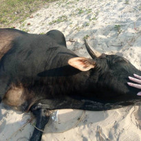 фото из отзыва ID 2246762