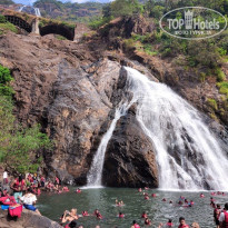 фото из отзыва ID 2246762