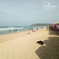 фото из отзыва ID 2246762