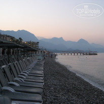 фото из отзыва ID 225099