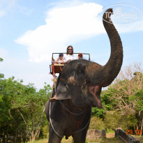 фото из отзыва ID 2250620