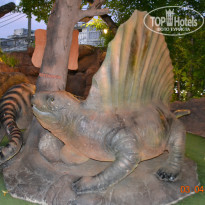 фото из отзыва ID 2250620