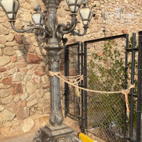 фото из отзыва ID 2250668