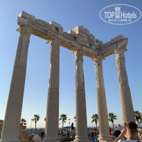 фото из отзыва ID 2250731