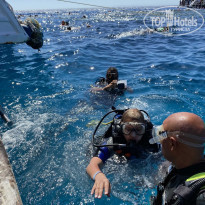 фото из отзыва ID 2250736