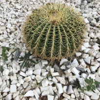 фото из отзыва ID 2250694