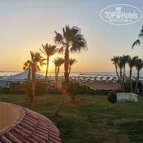 фото из отзыва ID 2250870