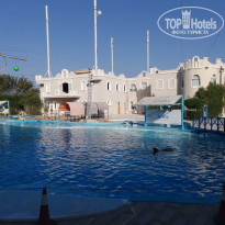 фото из отзыва ID 2250870