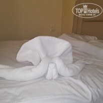 фото из отзыва ID 2250870