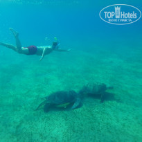 фото из отзыва ID 2250928