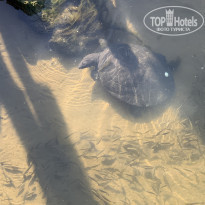 фото из отзыва ID 2250967