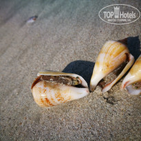 фото из отзыва ID 2251101