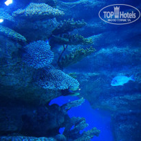 фото из отзыва ID 2251101