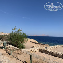 фото из отзыва ID 2251192