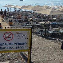 фото из отзыва ID 2251329