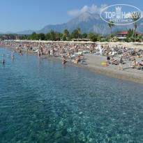 фото из отзыва ID 2251329