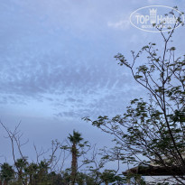 фото из отзыва ID 2251459