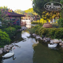 фото из отзыва ID 2251417