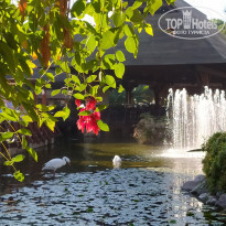 фото из отзыва ID 2251417