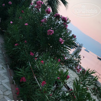 фото из отзыва ID 2251665