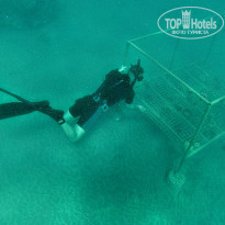 фото из отзыва ID 2251785