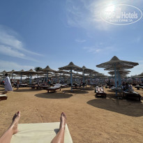 фото из отзыва ID 2251882